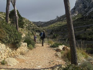 IMG_5055 (Medium)